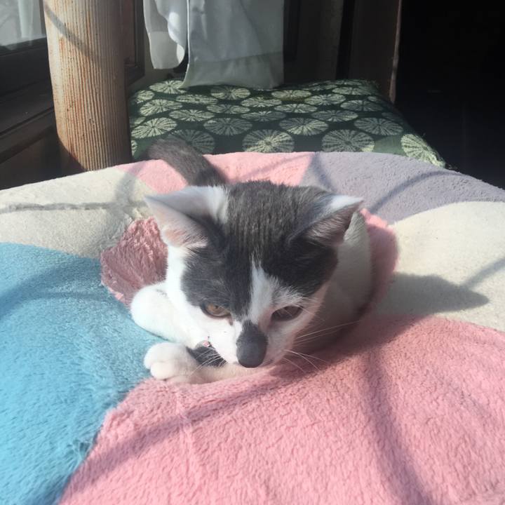 645cc7df 62f8 478b aa03 94cc107f3e8a