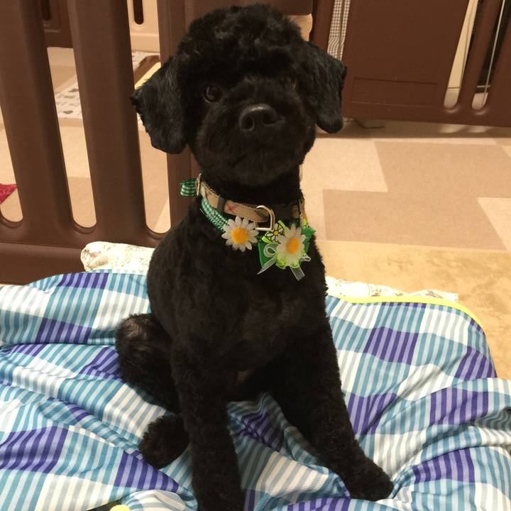 645cca97 565c 4ed3 a217 8b6cf3b6de4a