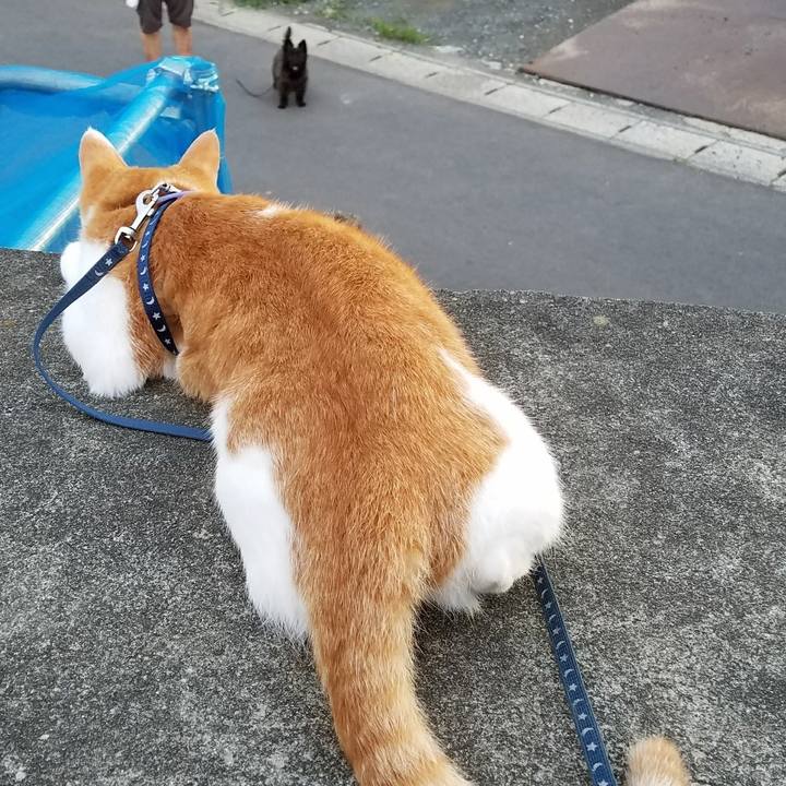 645d5dc7 c78d 4557 89e3 29604de953a9