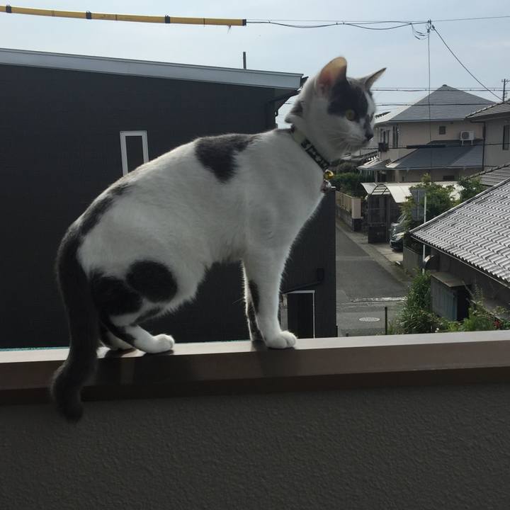 645d7b70 c3bb 4ecb a5ab 1850d3e623e2