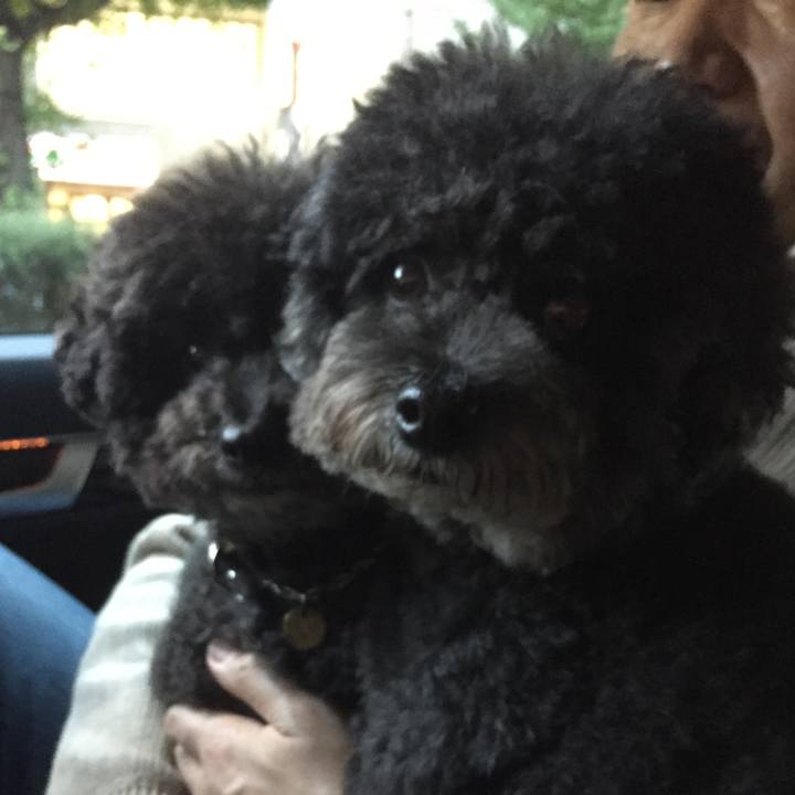 645d8bf5 09d2 474f 9ecf 56e80e5ce37a