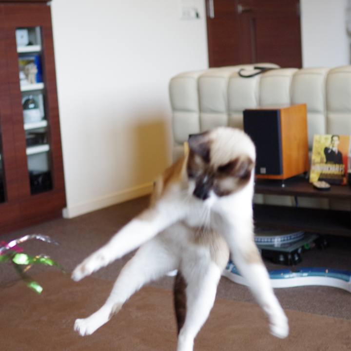 645d9566 63bb 4249 a69a 8e1f43c38b7a