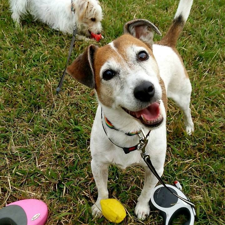 645d9e8d 7c1e 4bdd 821d 45d63a826b8b