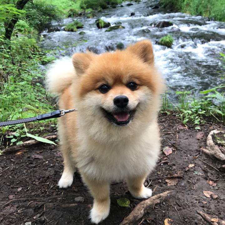 645de686 dafe 48bc 8e22 1308af3c7d3c