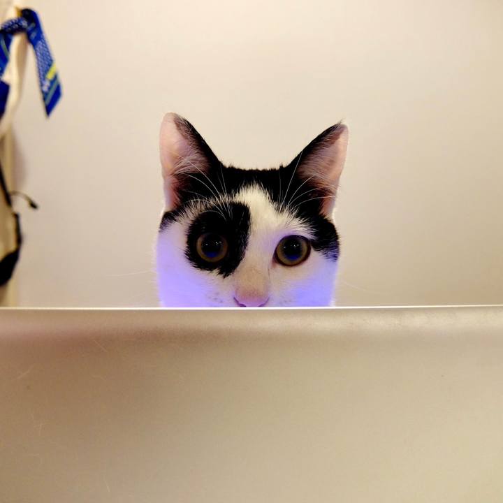 645e1861 cc1e 48b9 b8d0 a0daee342f24