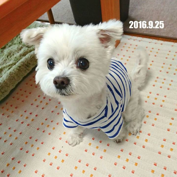 645e853e 6580 40c9 a59d 5470d3396058