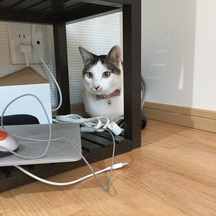 645f9ca5 cdc1 4c10 bf35 c1c49b73de90