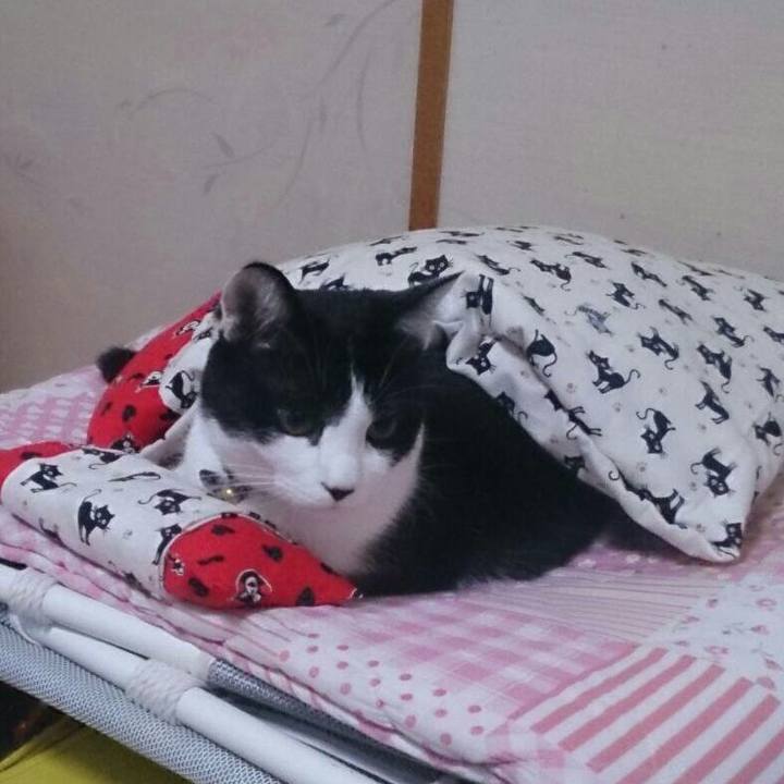 64615cee 4249 4ee7 afe5 df68fff989f7