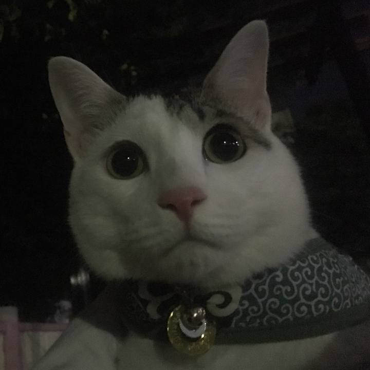 6461cebf b2aa 4b89 bdff 47a0e86c03ea