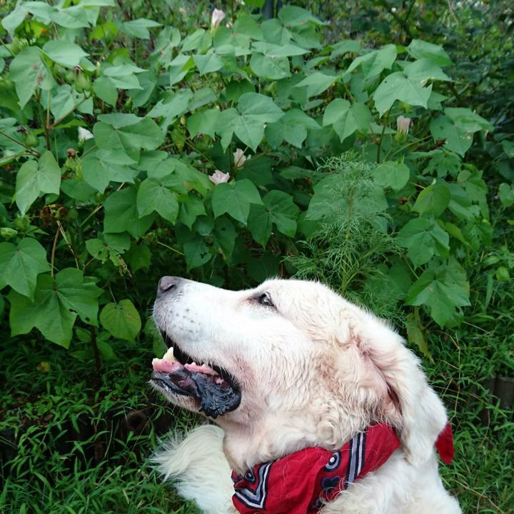 6461e7b5 0e72 4689 8a32 68cbb3011189