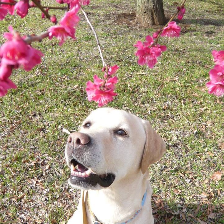 64624c43 816c 497e bf8c 434949a00a60