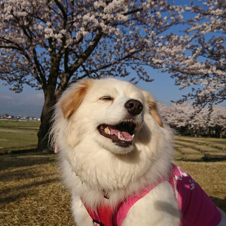 64629b0d 65e7 4e64 8c23 6766152fea9f