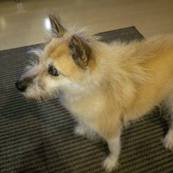 6462d76c 7d4c 4647 93e5 f639ee3f5eac