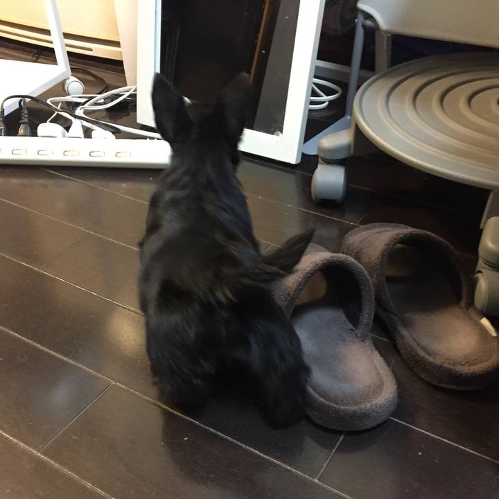 64636c19 d6c1 4c61 a59d 8295a2e2201b