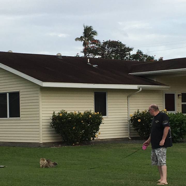 64638ec7 d338 4090 a32f 771d687240c8