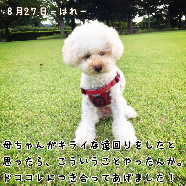 64641051 9212 4111 9989 076f66eb1207