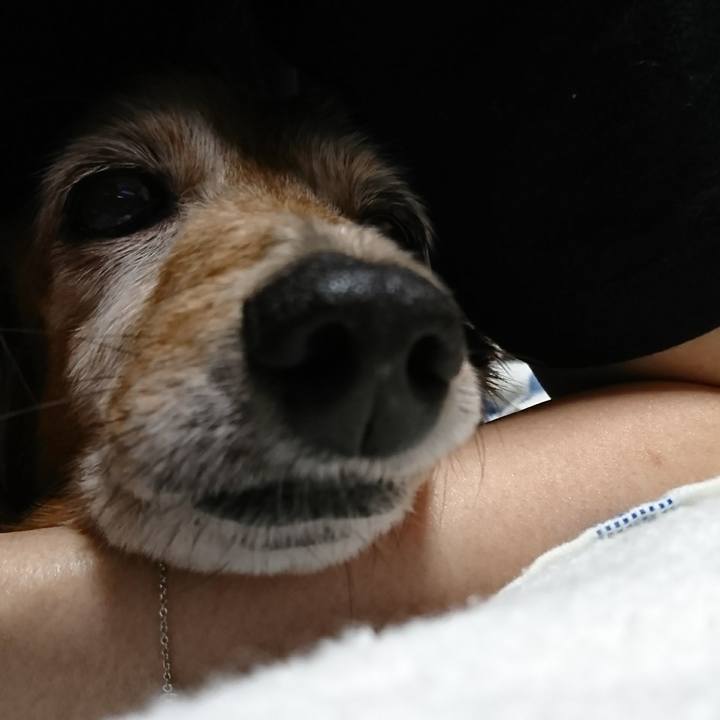 64650c1f 0d64 4585 a95e 22cb287a6484