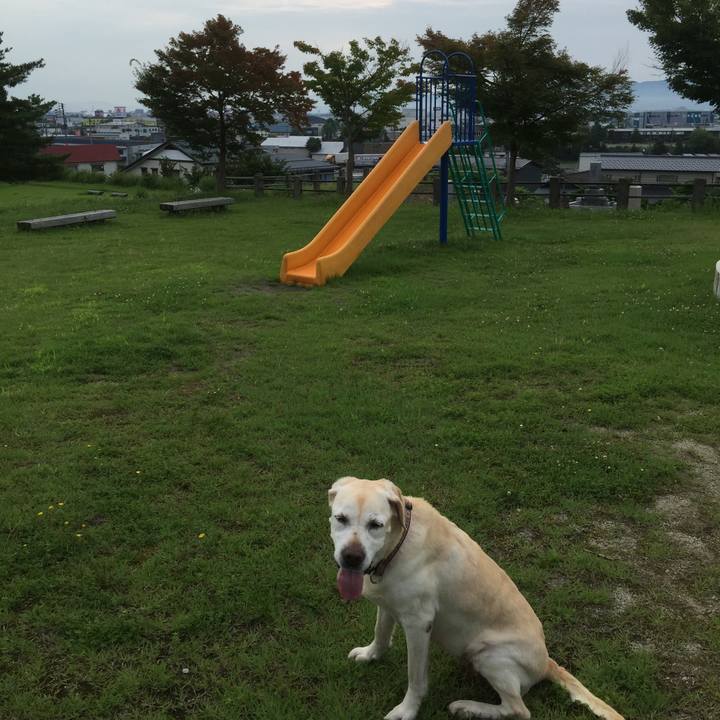 6465431a 4535 4bc8 9f41 43454ccd0006