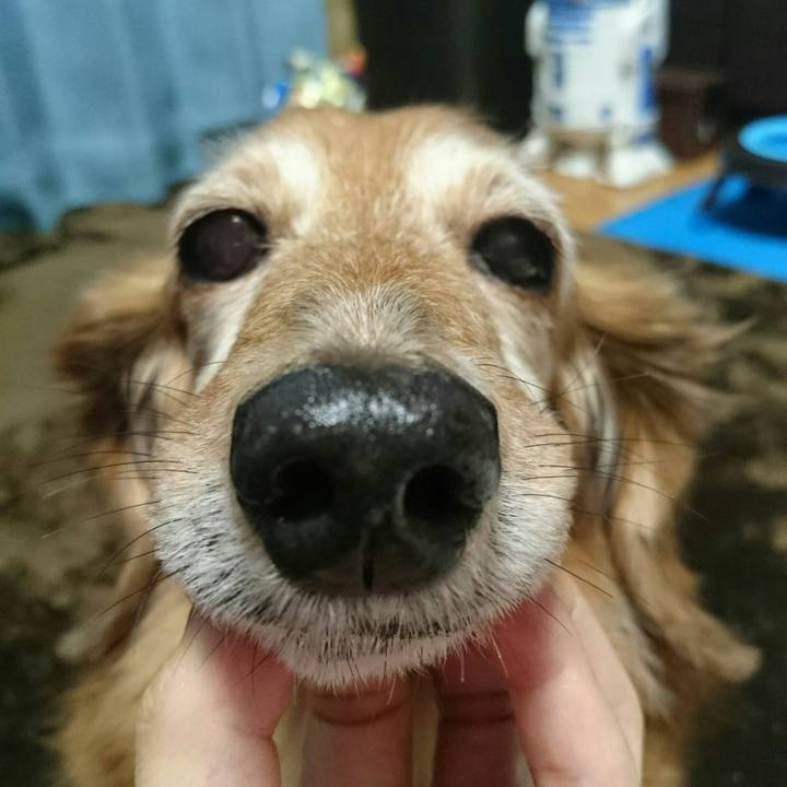 6465939e c6e4 4abe b80b 8c729dfd05d2