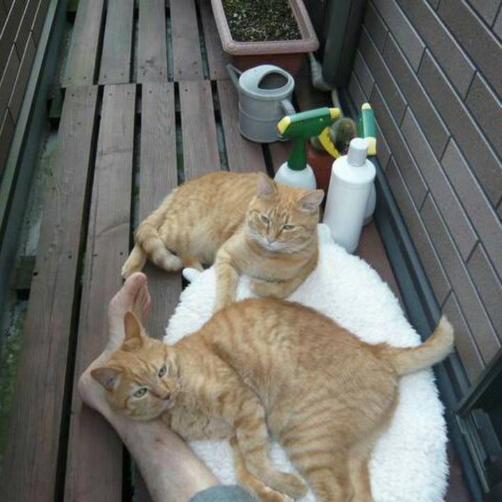 6467101b df74 4055 9a3e d91609fa6fd9