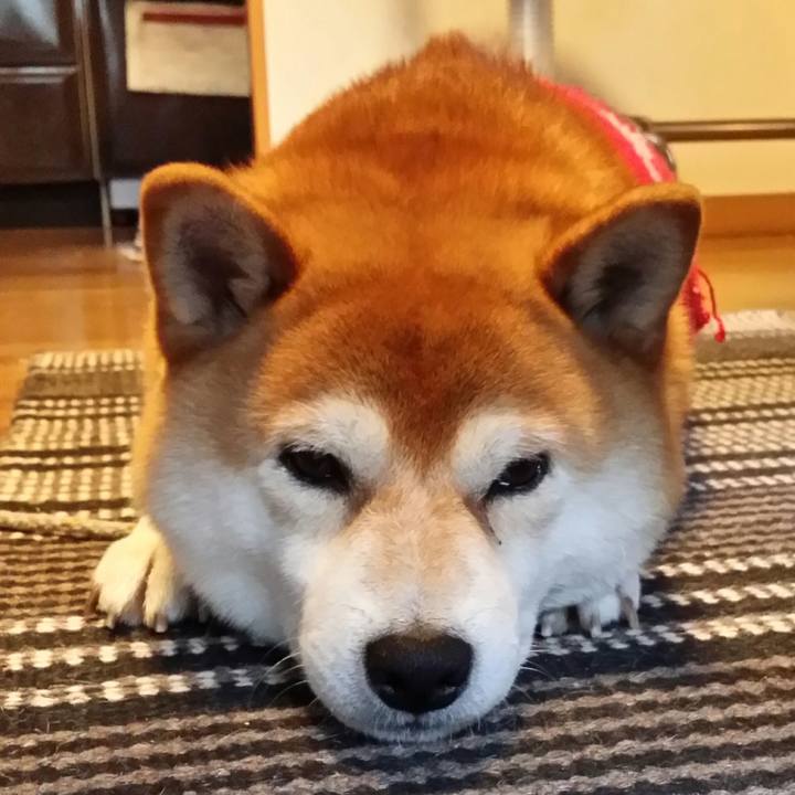 64678e75 c7d5 4b2b b55a 79742c9934d2