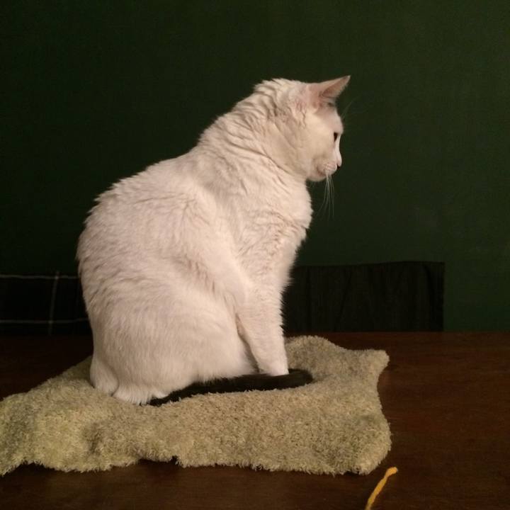 64679f72 fa23 4a1e ae83 78e1df18ccf4