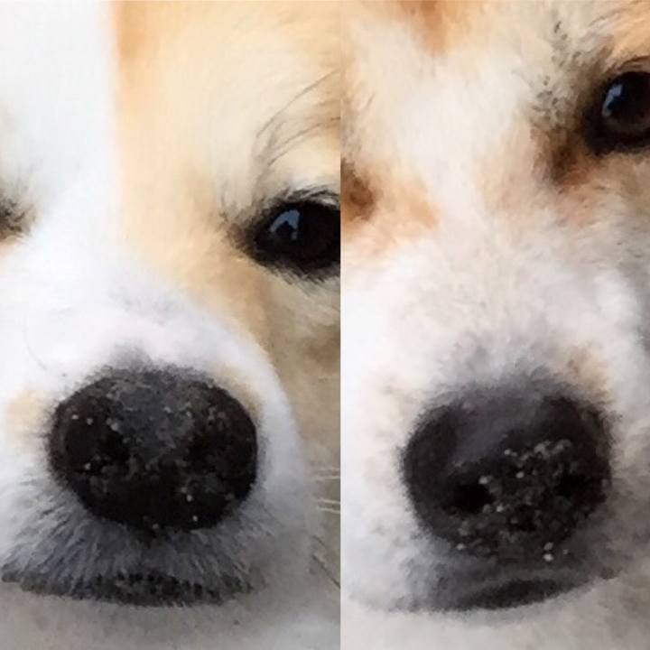 6468f6b3 0548 4e5d 8ddd dcd9e07ab80c