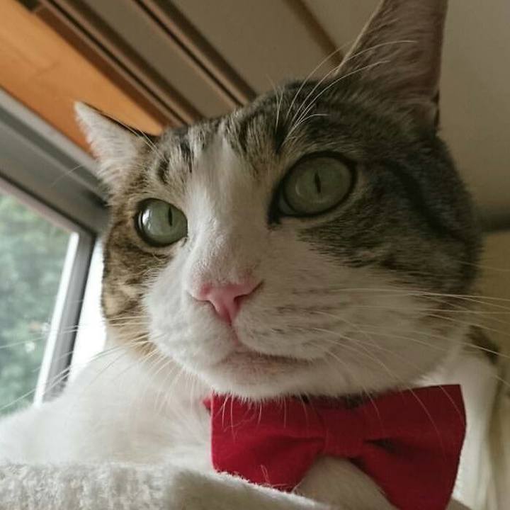 646936b1 6def 41c3 a48e 634bb4a31c88