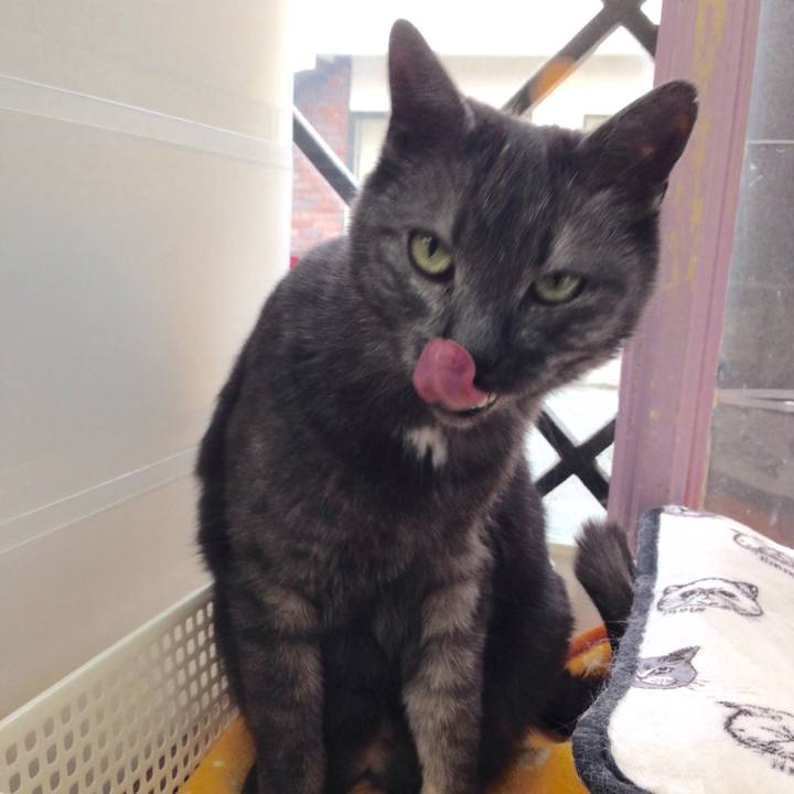 6469637c 8a00 43bc ba67 b6d8b3663604