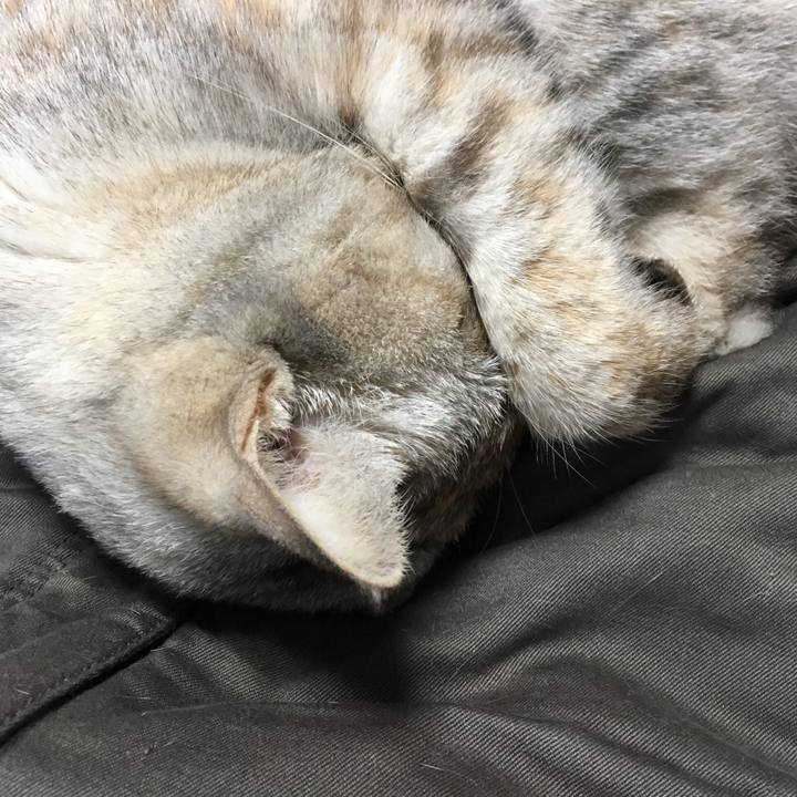 646967db 4dfc 4bd7 8be7 768649465d86