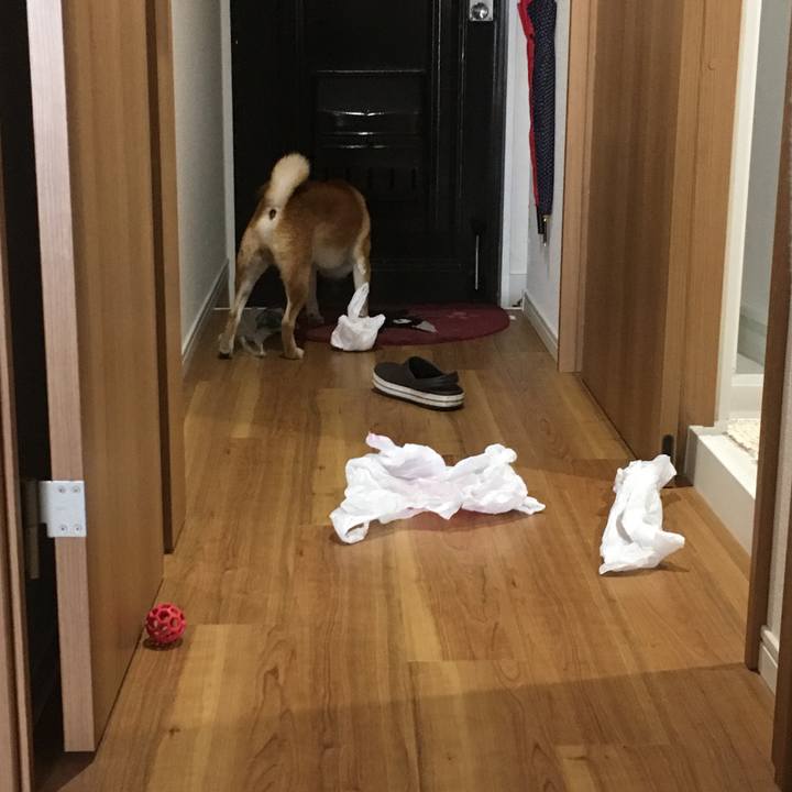 646a323f ac7a 48ae a226 135a0177256d