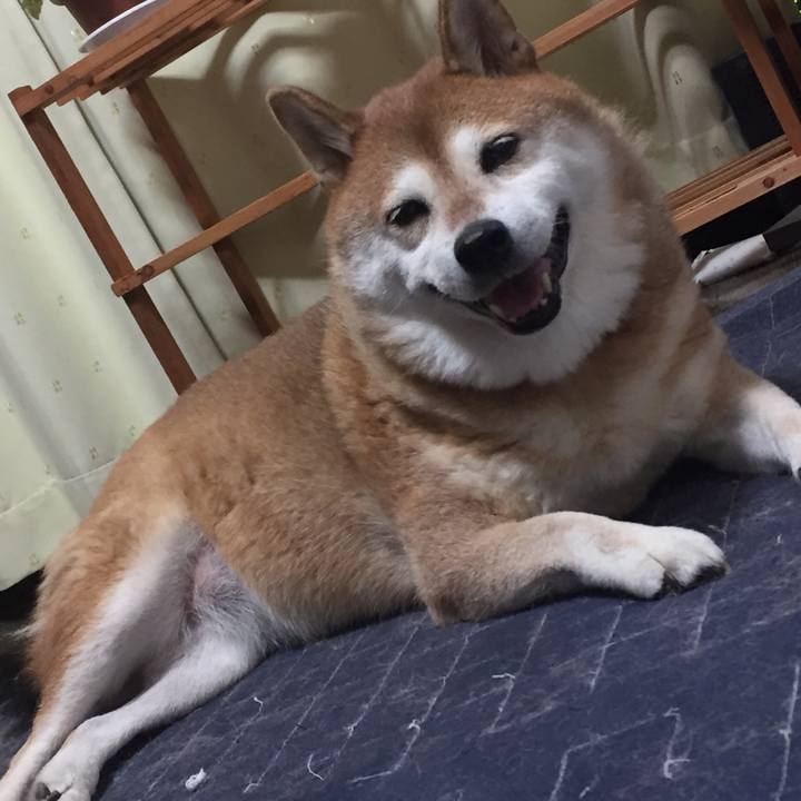 646a45b3 03dc 43cb 9ba0 7b3c0cb3ba98