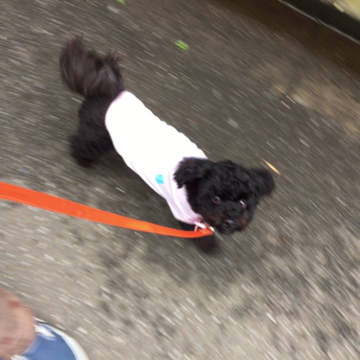 646a6479 d7d6 4a6e 8b1f 701ccf286e11