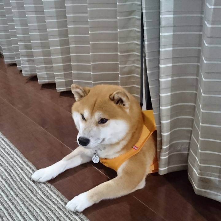 646a69cd 00a5 43d0 915f d37ef6ebe16e