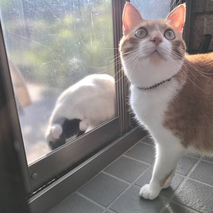 646ad0ea 715c 4b4f b159 ab35fe4ac039