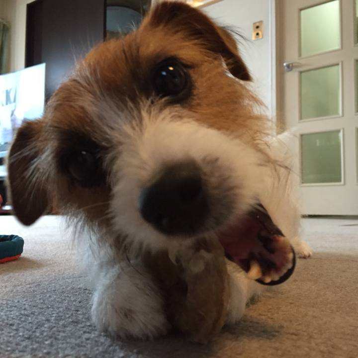 646ae312 855b 4cda 8f54 914e5cd31e06