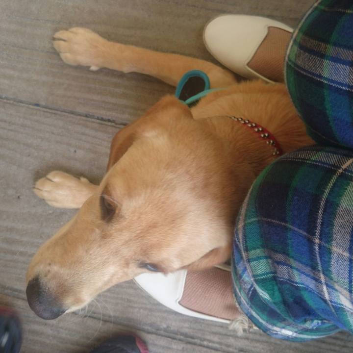 646ae9a4 76cb 4d88 a401 20a34de101be