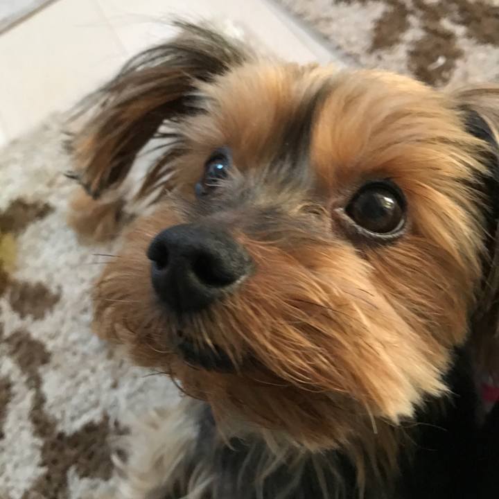 646aed93 c89e 4990 af1c 1ac2f544d549