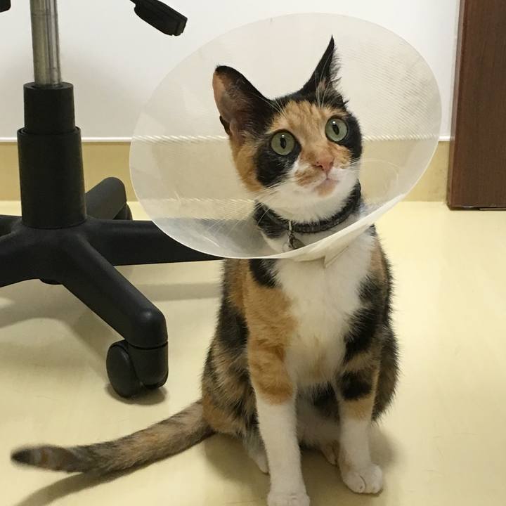 646afe5a d54b 4715 9774 285fe417d16b