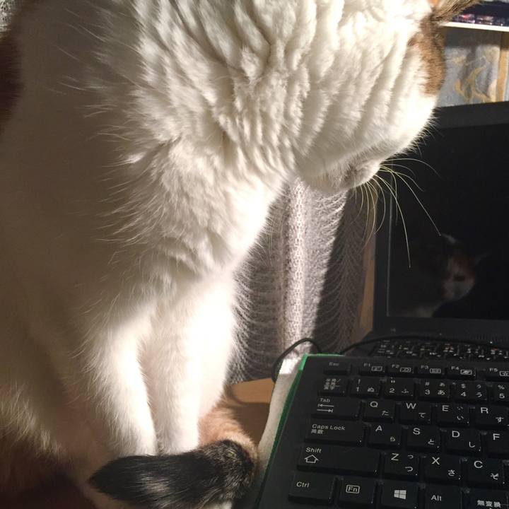 646bb6d5 3589 4bdf 9596 96eae4bcaebd