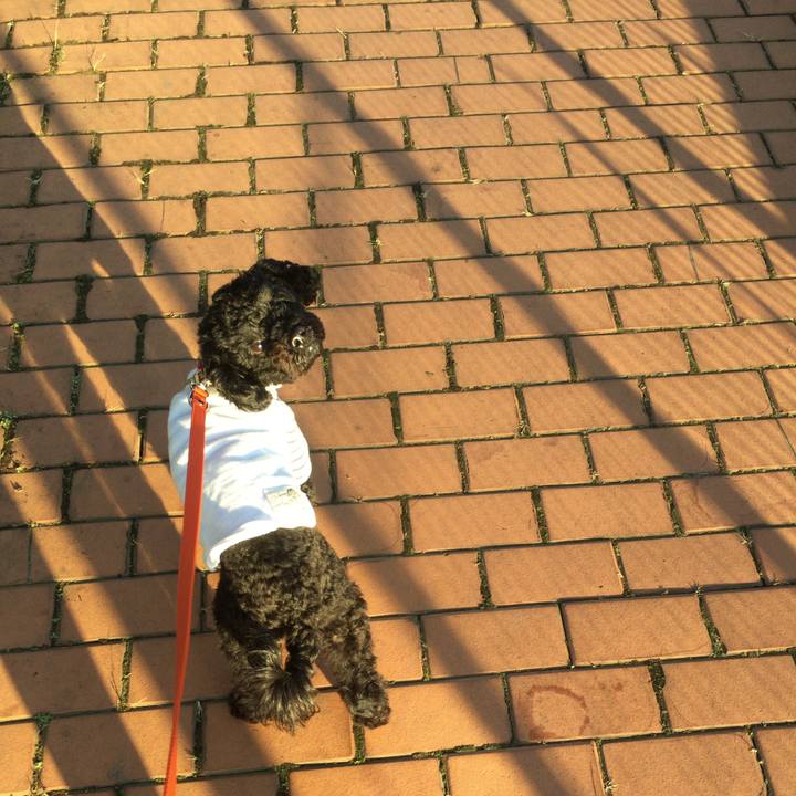 646c7bf4 4440 461b ad97 76cdbcc4787e