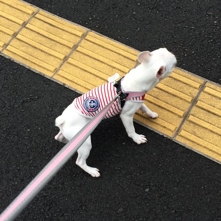 646cc71c 7f66 4e74 8ebe 74d73920980d