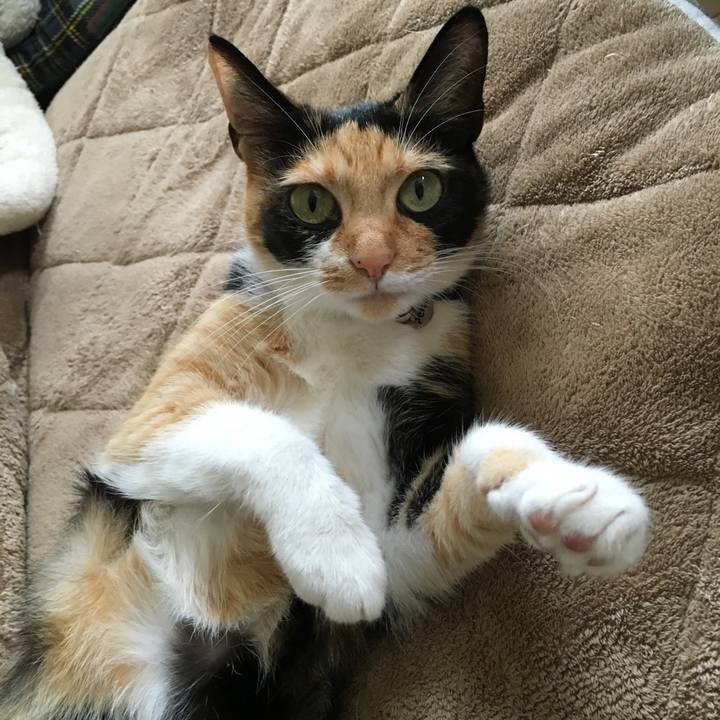 646cfb12 f44e 474a 88b7 9a7cbefbdad9