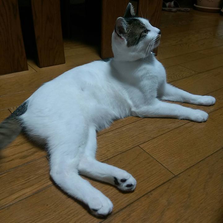 646d293d ed7d 4608 9002 1beecb120b48