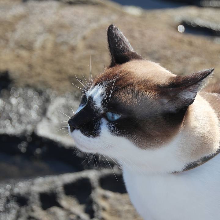 646dac86 2ca6 4623 a42c 2b3efbe111b4