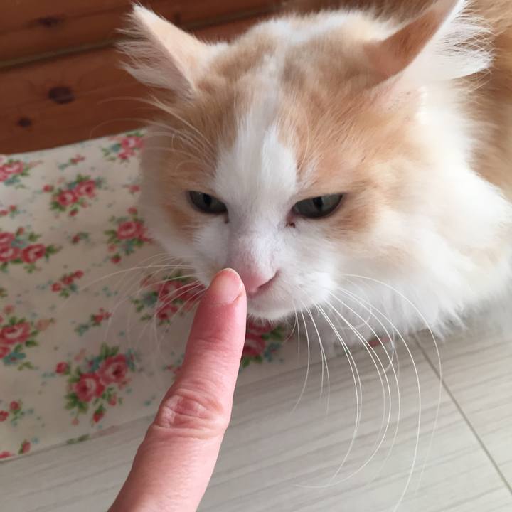 646ddcb5 3310 44ad b129 203fc9b844b4