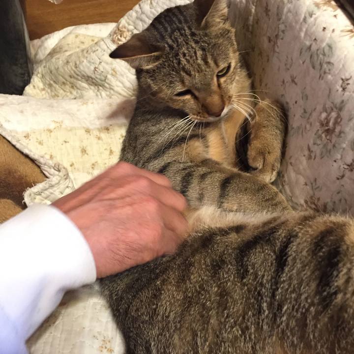 646e3e17 10d9 4782 8657 c47fcfa05289