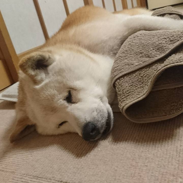 646f22e6 1c99 4858 b578 3e02f0b81fc6