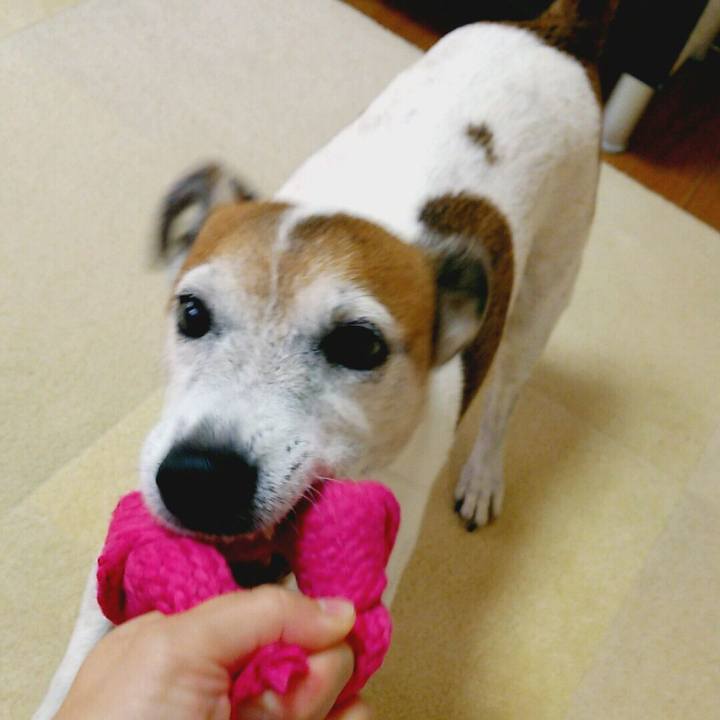 646f4224 b1ca 4901 99ae 4a4b0337f351