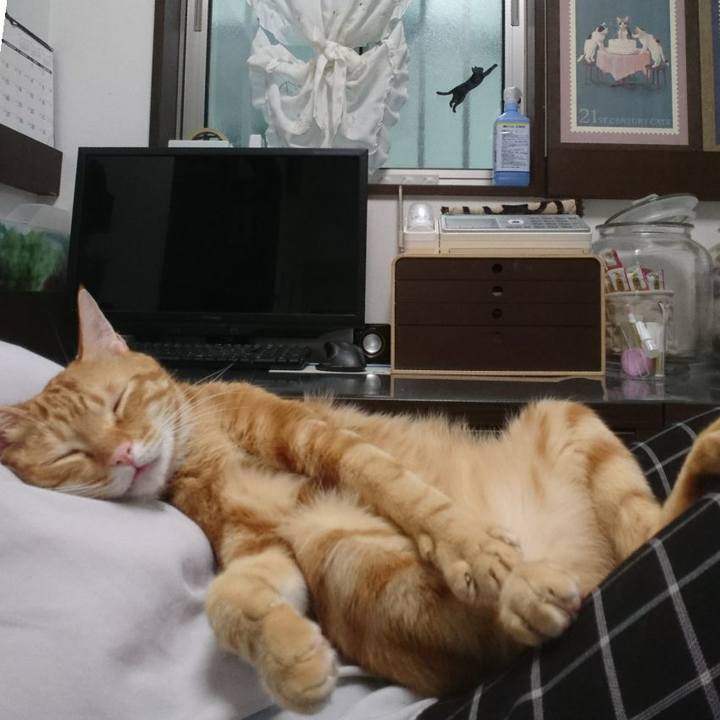 64707357 a5e5 4b70 b46c 81e1be178d6f